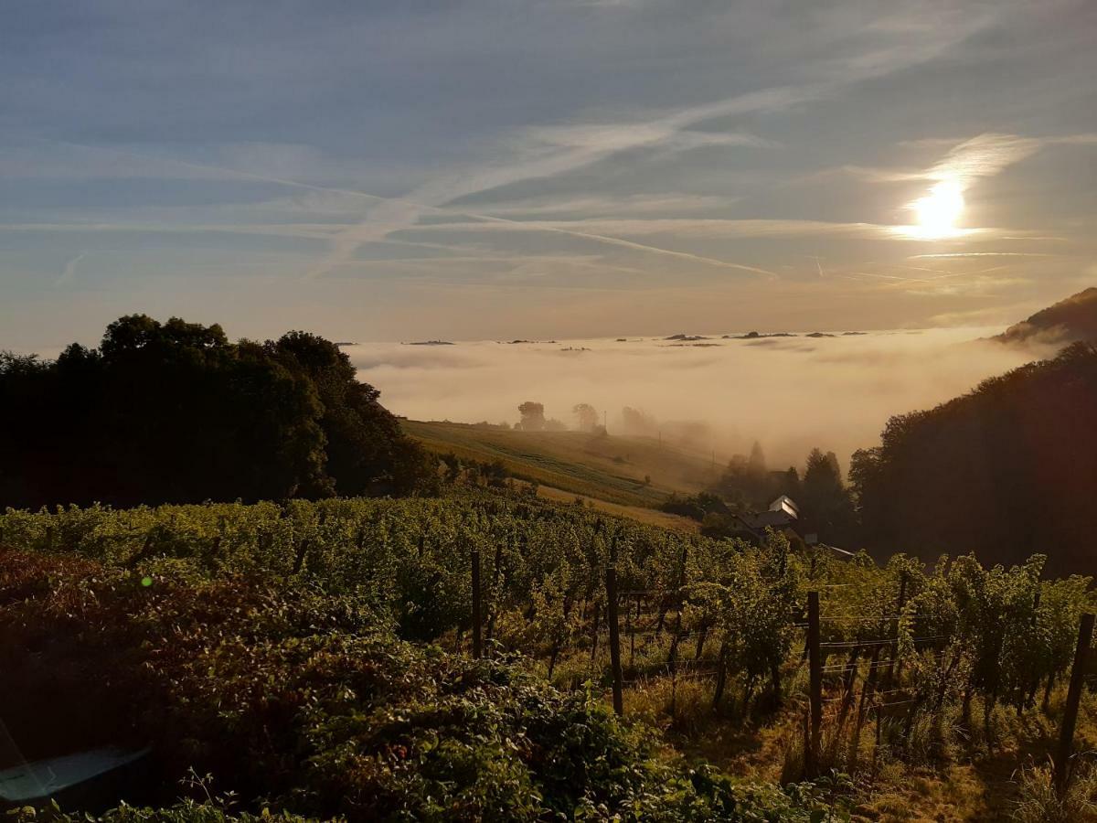 Sunrise Home Maribor Exteriér fotografie